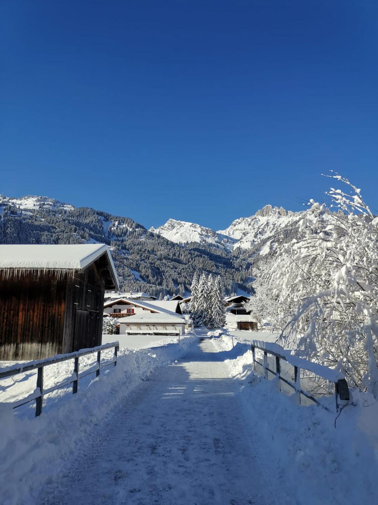 Alpapart Hornberg Höfen Exterior foto